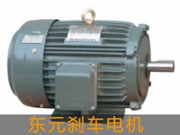 東元?jiǎng)x車電機(jī)