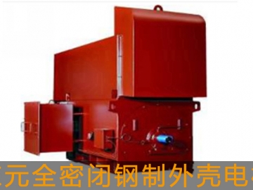 東元高壓電機(jī)全密閉鋼制外殼電機(jī)