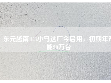 東元越南IE3小馬達(dá)廠今啟用，初期年產(chǎn)能20萬(wàn)臺(tái)