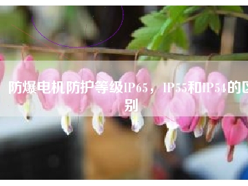 防爆電機防護等級IP65，IP55和IP54的區(qū)別