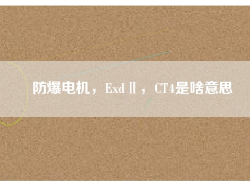 防爆電機(jī)，ExdⅡ，CT4是啥意思
