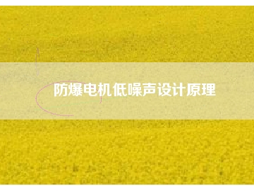 防爆電機低噪聲設計原理