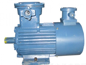 正壓型防爆電機(jī)的通風(fēng)結(jié)構(gòu)是怎樣的？