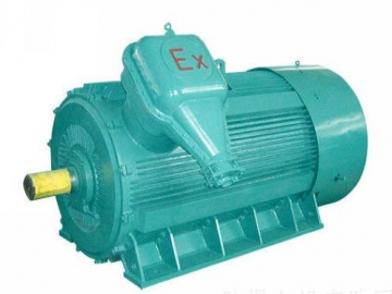 防爆電機(jī)如何出現(xiàn)掃膛、振動(dòng)、軸承過(guò)熱要怎么處理