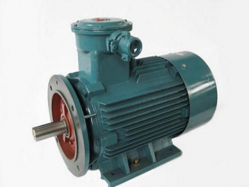 防爆電機驗收時除了銘牌外，還要注意哪些？