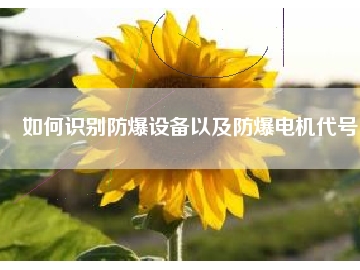 如何識(shí)別防爆設(shè)備以及防爆電機(jī)代號(hào)