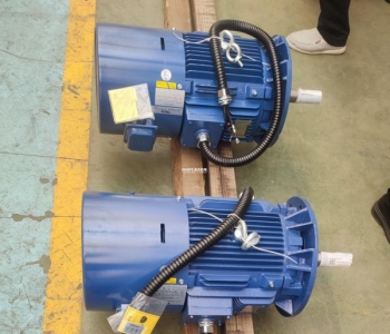 東元加長(zhǎng)軸強(qiáng)冷變頻電機(jī)應(yīng)用于鋰電行業(yè)