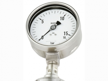 DSS19F符合EN837-1標(biāo)準(zhǔn)的壓力表，帶隔膜密封