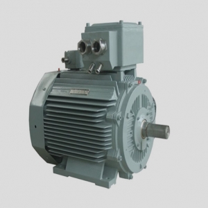 低壓超高效IE5三相異步電動機(jī)