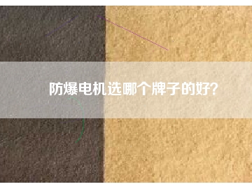 防爆電機(jī)選哪個牌子的好？