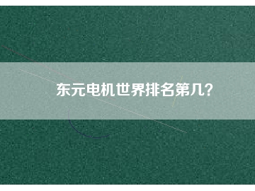 東元電機(jī)世界排名第幾？