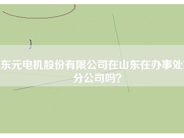 東元電機(jī)股份有限公司在山東在辦事處或分公司嗎？