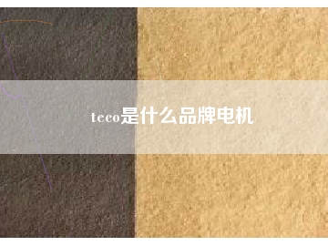 teco是什么品牌電機(jī)