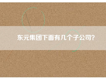 東元集團(tuán)下面有幾個(gè)子公司？