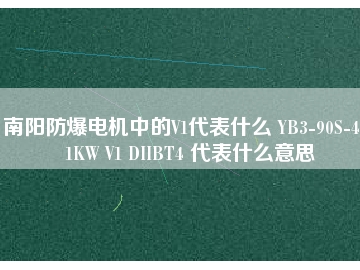 南陽(yáng)防爆電機(jī)中的V1代表什么 YB3-90S-4 1.1KW V1 DIIBT4 代表什么意思