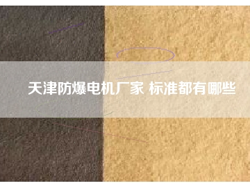 天津防爆電機(jī)廠家 標(biāo)準(zhǔn)都有哪些