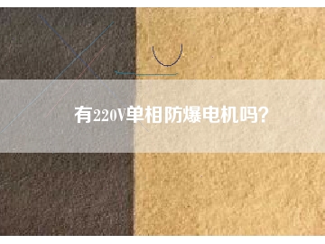 有220V單相防爆電機(jī)嗎？
