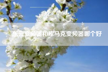 東元變頻器和庫(kù)馬克變頻器哪個(gè)好
