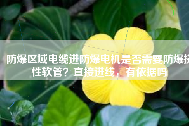 防爆區(qū)域電纜進(jìn)防爆電機(jī)是否需要防爆撓性軟管？直接進(jìn)線，有依據(jù)嗎