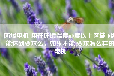 防爆電機(jī) 用在環(huán)境溫度60度以上區(qū)域 F級(jí)能達(dá)到要求么，如果不能 要求怎么樣的電機(jī)