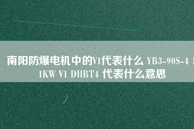 南陽防爆電機中的V1代表什么 YB3-90S-4 1.1KW V1 DIIBT4 代表什么意思
