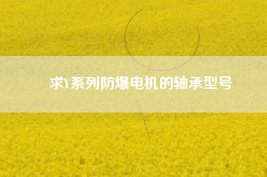 求Y系列防爆電機(jī)的軸承型號