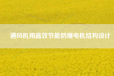通風機用高效節(jié)能防爆電機結(jié)構(gòu)設(shè)計