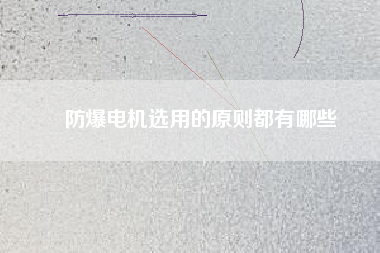 防爆電機(jī)選用的原則都有哪些