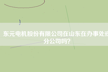 東元電機(jī)股份有限公司在山東在辦事處或分公司嗎？