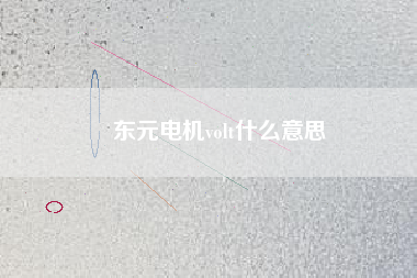 東元電機volt什么意思 東元電機volt什么意思