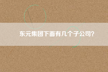 東元集團(tuán)下面有幾個(gè)子公司？