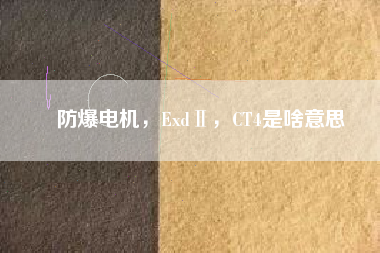 防爆電機(jī)，ExdⅡ，CT4是啥意思