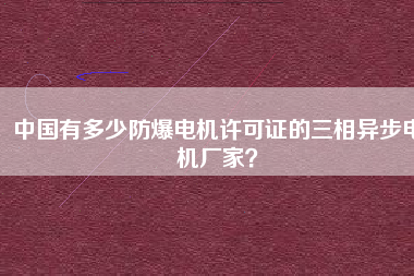 中國(guó)有多少防爆電機(jī)許可證的三相異步電機(jī)廠家？