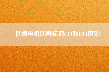 防爆電機(jī)防爆標(biāo)識(shí)CT4和BT4區(qū)別 防爆電機(jī)防爆標(biāo)識(shí)CT4和BT4區(qū)別