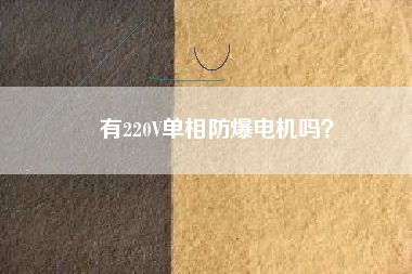 有220V單相防爆電機嗎？