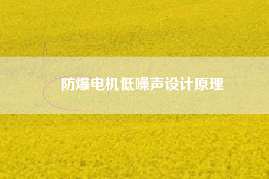 防爆電機(jī)低噪聲設(shè)計原理